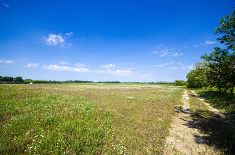 Eladó Telek 2365 Inárcs , Offner dűlő