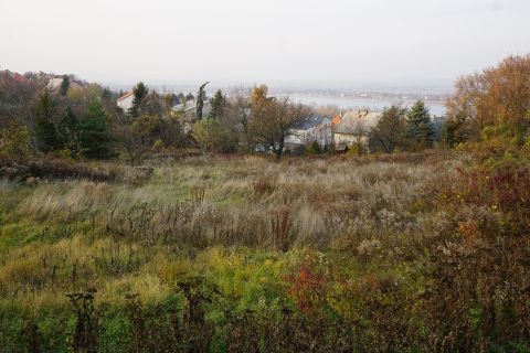 Eladó Telek 2541 Lábatlan  , Duna panoráma