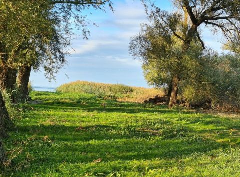 Eladó Telek 8647 Balatonmáriafürdő 