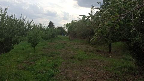Eladó Telek 2030 Érd Női neves utcában telek