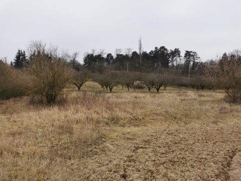 Eladó Telek 9700 Szombathely Erdei iskola u. környéke