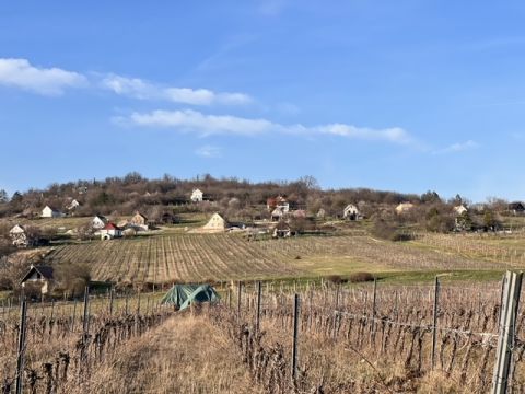 Eladó Mezőgazdasági 8244 Dörgicse Dörgicse Bece hegy