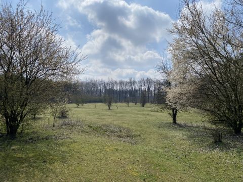 Eladó Telek 4002 Debrecen , Erdőspuszta 23,5 hektár terület, termál víz lehetőséggel