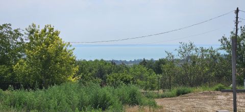 Eladó Telek 8220 Balatonalmádi ÖRÖK PANORÁMÁS BALATONI TELEK 