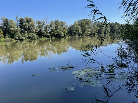 Eladó Telek 3918 Szegi 