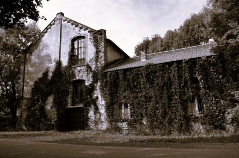 Eladó Ház 8425 Lókút panorámás övezet