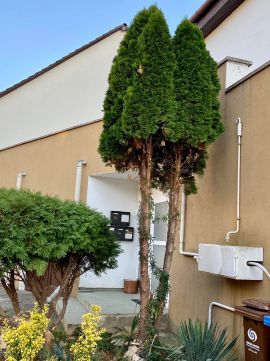 Eladó Lakás 7634 Pécs Újpatacson eladó 3 szobás lakás