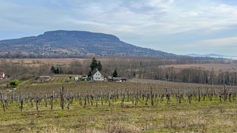 Eladó Telek 8264 Szigliget , Balatoni örökpanorámás