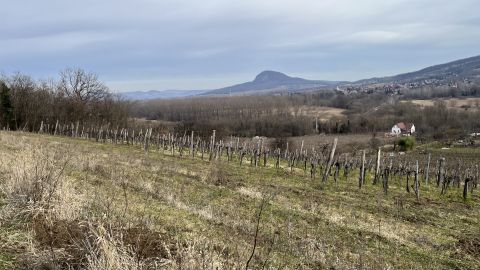 Eladó Telek 8264 Szigliget Balatoni örökpanorámás