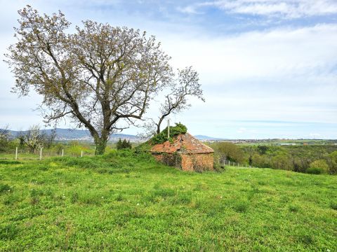 Eladó Telek 7668 Keszü Keszü Szőlőhegyen 7600 nm-es panorámás telek