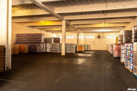 Kiadó Tároló/Raktár 4100 Berettyóújfalu ,  Autópályához közel