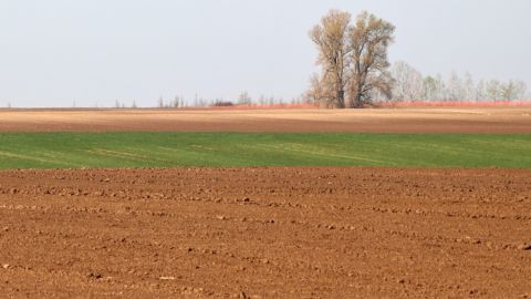 Eladó Telek 6421 Kisszállás , 1739 m2 SZÁNTÓ ELADÓ