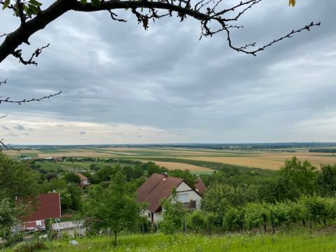 Eladó Telek 2476 Pázmánd , Szerelemvölgyben