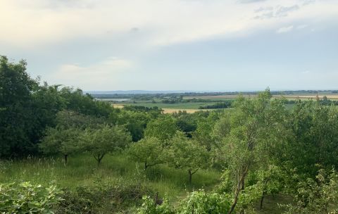 Eladó Ház 8600 Siófok , Panorámás nyaraló, SIÓFOK KILITIN gyümölcsössel, szőlővel