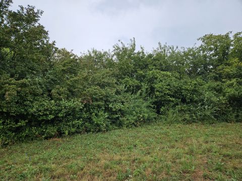 Eladó Telek 8700 Marcali 