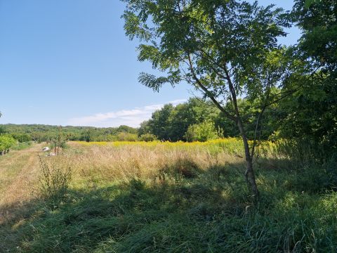 Eladó Telek 8649 Balatonberény 