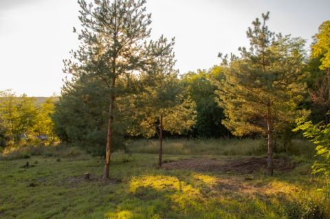 Eladó Telek 2117 Isaszeg 