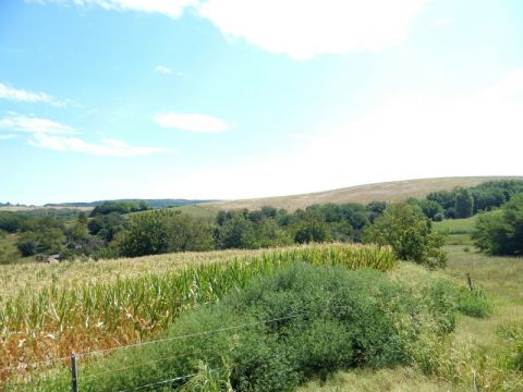 Eladó Telek 8782 Tilaj 