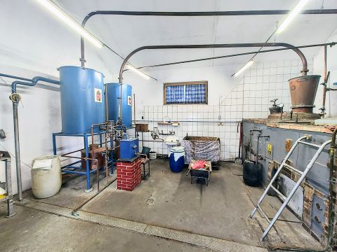 Eladó Mezőgazdasági 6792 Zsombó , Zsombó Márták dülő 4.