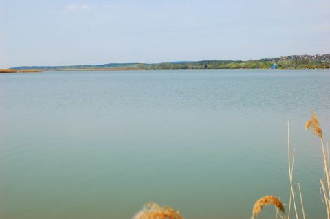 Eladó Telek 2481 Velence 