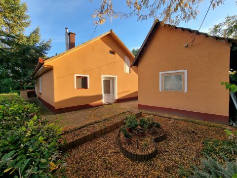 Eladó Ház 2243 Kóka , Páskom dűlő