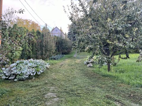 Eladó Telek 2092 Budakeszi Máriamakk