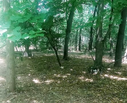 Eladó Mezőgazdasági 2696 Terény 