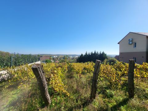Eladó Telek 8095 Pákozd Panorámás építési telek