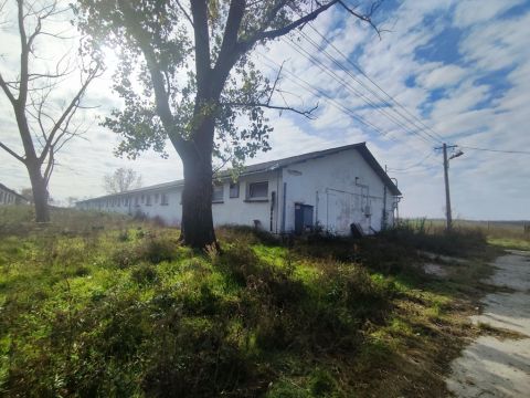 Eladó Mezőgazdasági 6455 Katymár Katymár