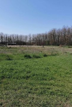 Eladó Telek 6000 Kecskemét , Vacsihegyben eladó telek 