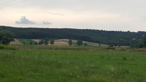 Eladó Mezőgazdasági 8784 Kehidakustány 