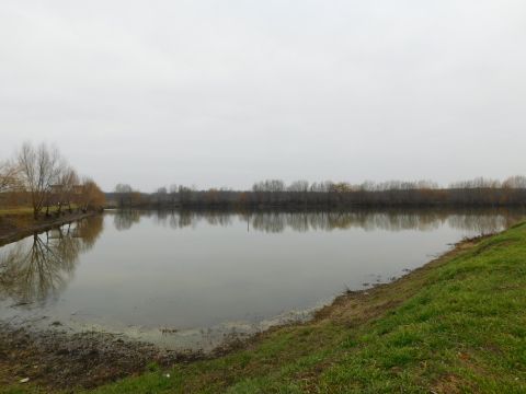Eladó Ház 6000 Kecskemét  Kecskemét közvetlen közelében 10 hektáros sport HORGÁSZPARADICSOM eladó!