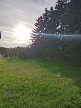Eladó Telek 9155 Lébény Lébény központi részén