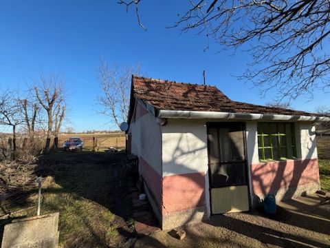 Eladó Ház 6100 Kiskunfélegyháza 