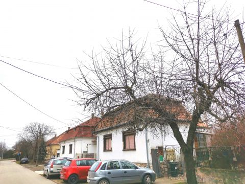 Eladó Ház 2534 Tát 