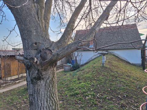Eladó Ház 2060 Bicske , Galagonyás 1.dűlő