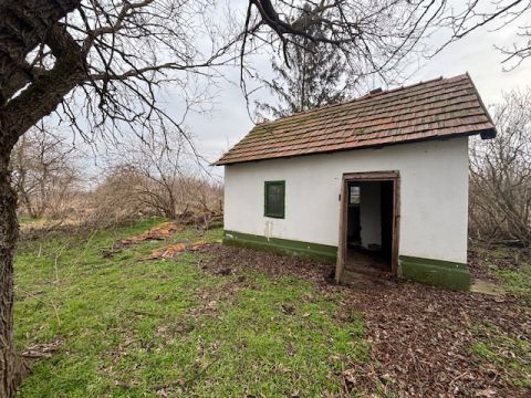Eladó Mezőgazdasági 6000 Kecskemét , Kecskemét, Borbás 