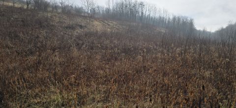 Eladó Telek 8900 Zalaegerszeg Eladó telek Zalaegerszeg