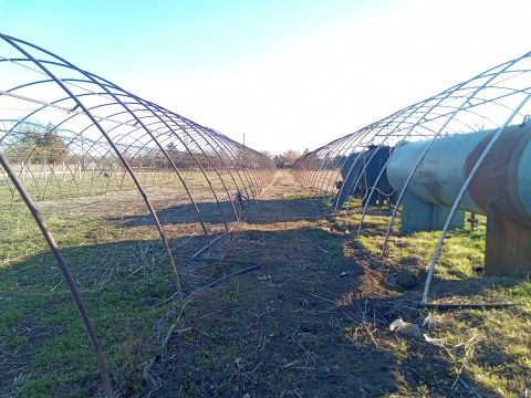 Eladó Mezőgazdasági 6600 Szentes 
