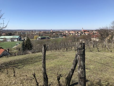 Eladó Telek 8060 Mór , Kecskehegyen