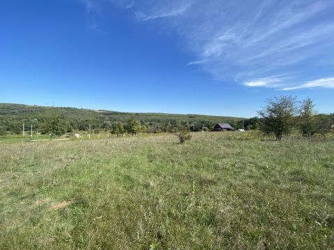Eladó Telek 2182 Domony 
