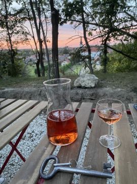 Eladó Mezőgazdasági 2071 Páty a közkedvelt Pincehegyen