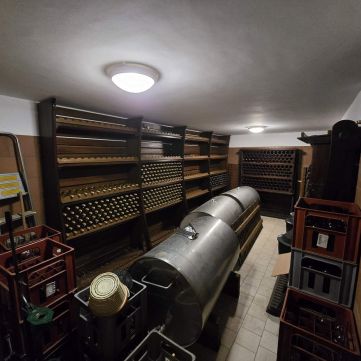 Eladó Ház 6065 Lakitelek Pazar szőlős bírtok eladó! Hatalmas borospincével!