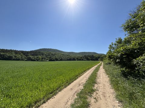 Eladó Telek 2519 Piliscsév 