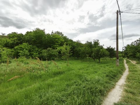 Eladó Telek 2457 Adony , Adony Szőlőhegyén, 2230 m2 erdős terület eladó!