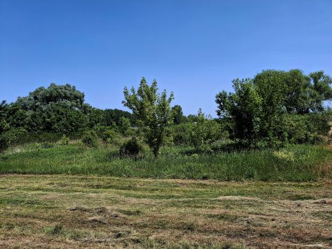 Eladó Telek 9142 Rábapatona , Petőfi utca