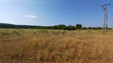 Eladó Mezőgazdasági 8242 Balatonudvari 