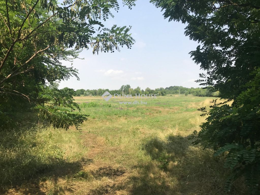 5400 Mezőtúr , Túrtói-Holt-Körös Matula házak — 1/11