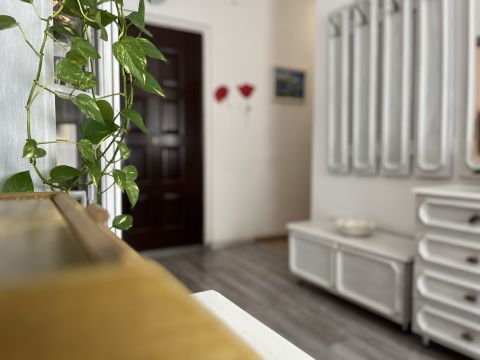 Eladó Lakás 8200 Veszprém szép állapotú, földszinti, erkélyes, panel