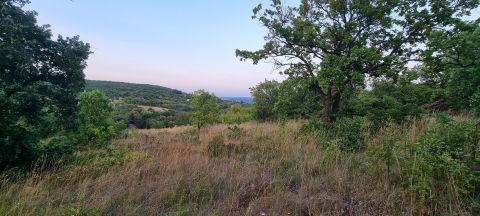 Eladó Telek 8220 Balatonalmádi , Csendes utcában
